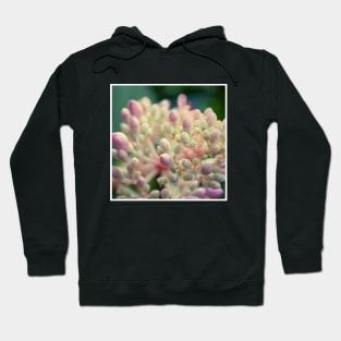 Pretty Red Flower with green leaves nature lovers beautiful photography design Hoodie